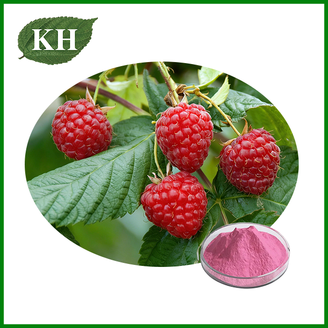 Instant Raspberry Juice Powder